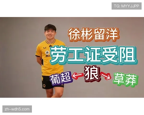 ATP中国球员留洋:徐彬分享狼队经历,语言理解能力从20%-30%提升至50%-60% ATP中国球员留洋:徐彬分享狼队经历,语言理解能力从20%-30%提升至50%-60%
