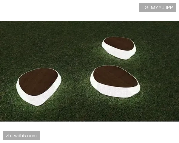 为满足欧冠决赛要求，科隆朗盛竞技场启动座椅与照明升级工程。